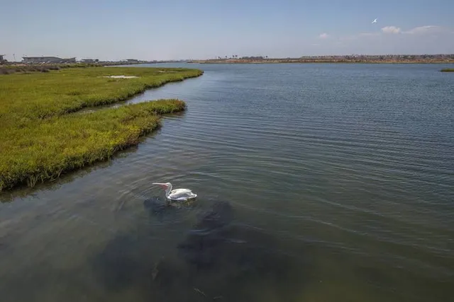 Bolsa Chica Ecological Reserve