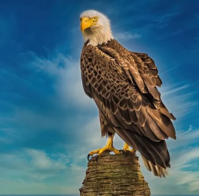 Majestic Pride Casino