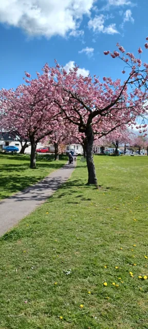 Lochside public park