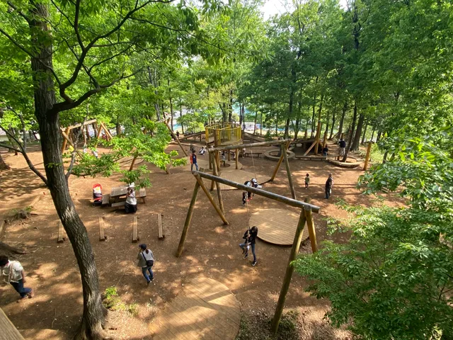 Adventure Playground