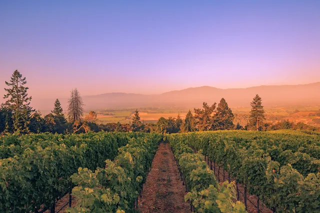 Rutherford Hill Winery