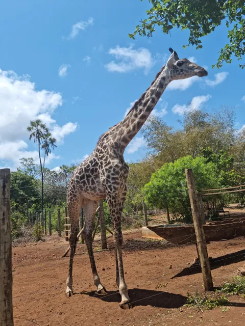 BoraBora Wildlife Park