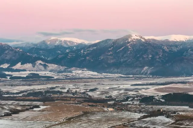 タカガリヤマテンボウダイ
