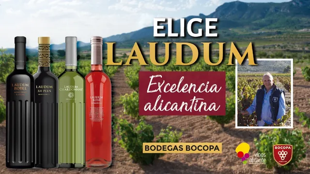 Bodegas Bocopa