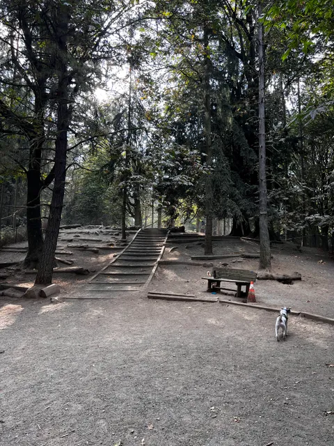 Lower Woodland Off Leash Area