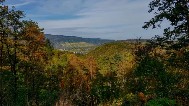 Ferienwohnung "Am Wald"