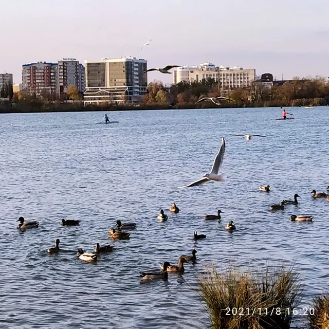 Staraya Kuban', Gorodskoy Plyazh