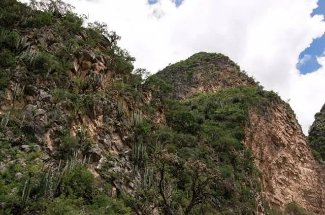 Reserva de la Biosfera Barranca de Metztitlán
