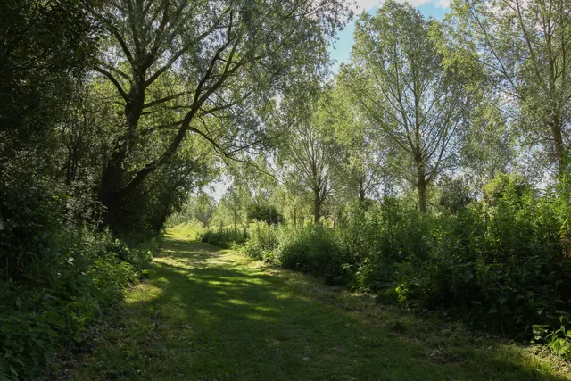 Whetmead Nature Reserve