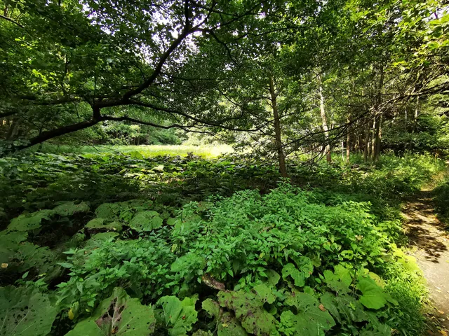 Rezerwat Mójka- Parking
