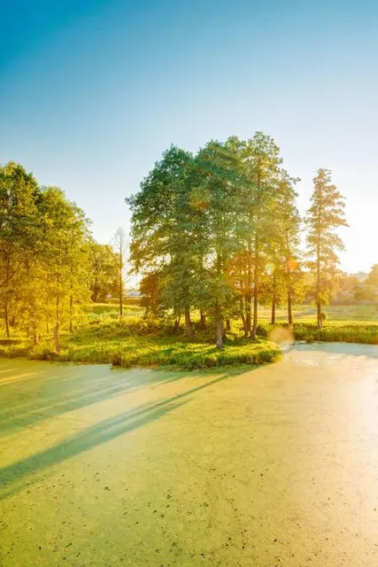 Colonel Francis J. Beatty Park