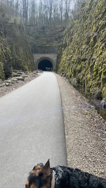Tunnel de Schwelm