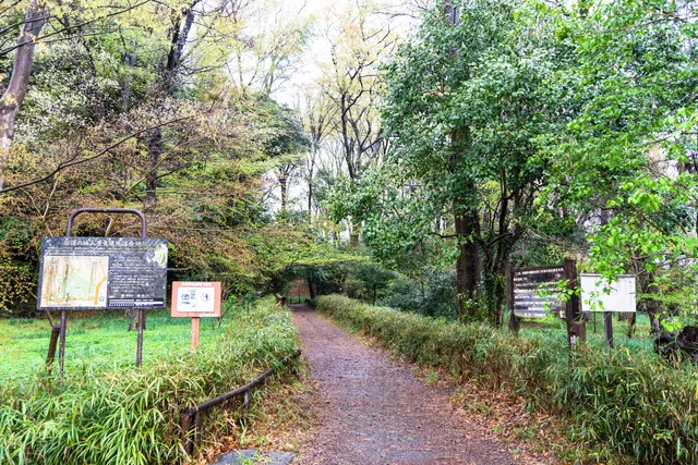 Yaho's Shiroyama History and Environment Conservation Area