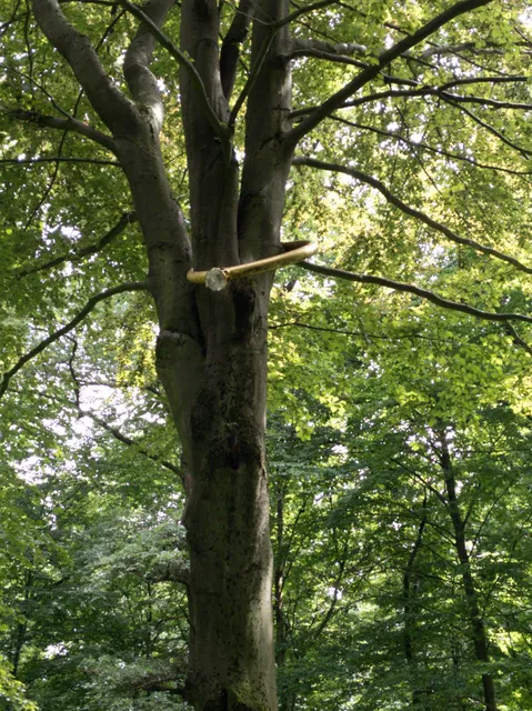 Baumring Nieheimer Kunstpfad