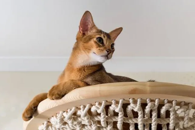 Glass Museum "The Glass Castle"