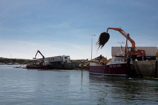 Maison de l'Algue Lanildut