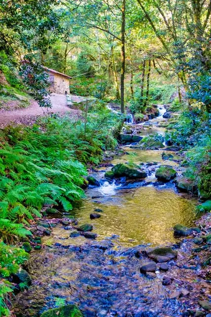 Ruta da Pedra e da Auga