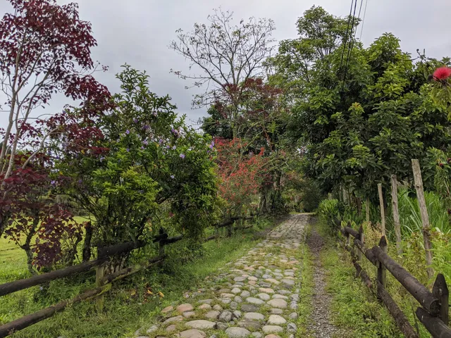 Camino de la Herrera