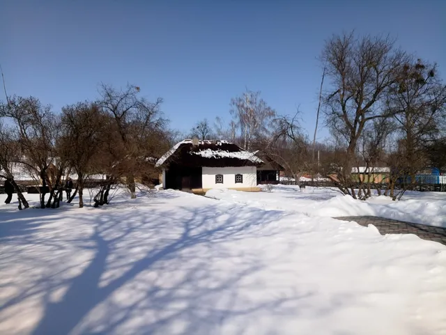 photo-1