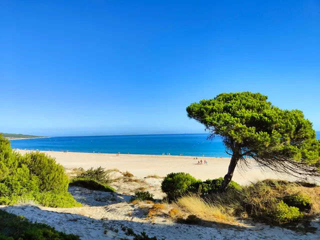 Parque Natural del Estrecho