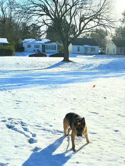 Decatur Park District