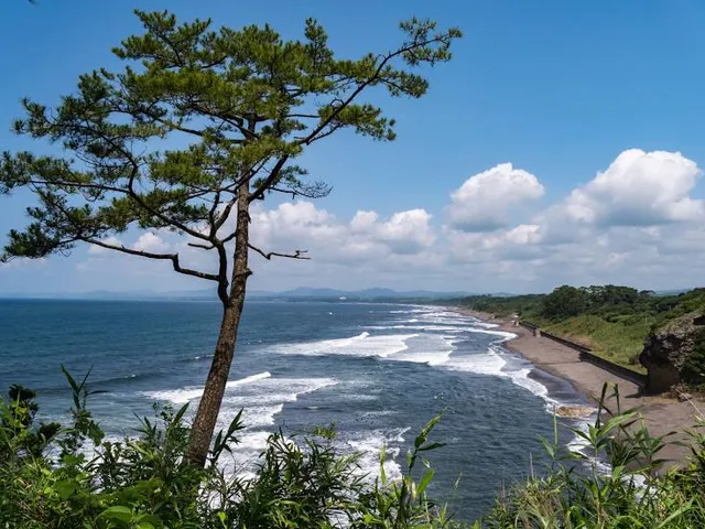 Sebira Nature Park.Enmi Hill.