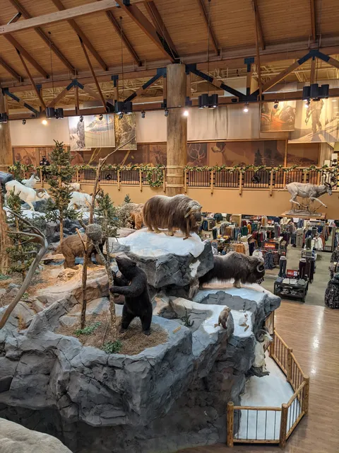 Cabela's