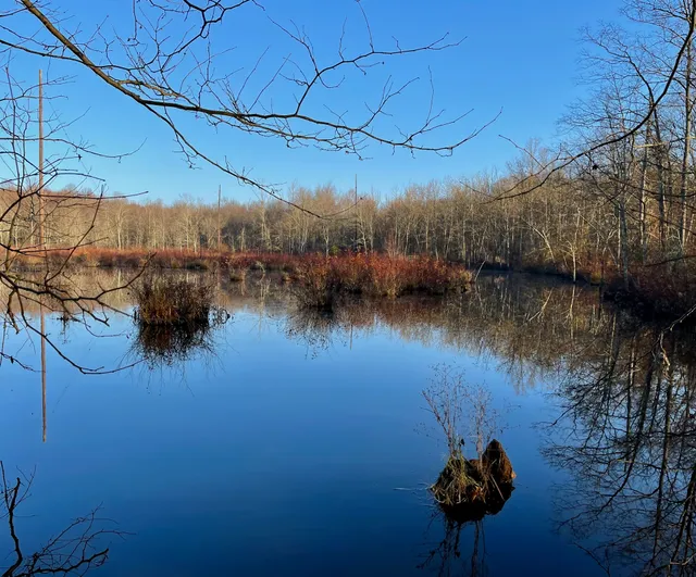 Cheltenham Wetlands Park - Parking