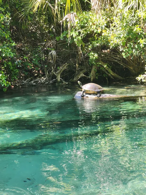 KayaKing Weeki Wachee