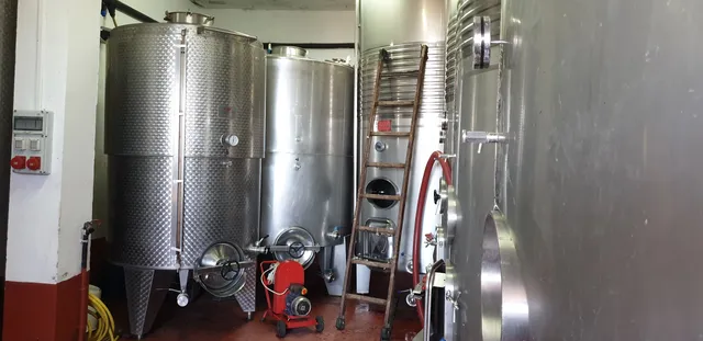 Bodegas Frontón de Oro