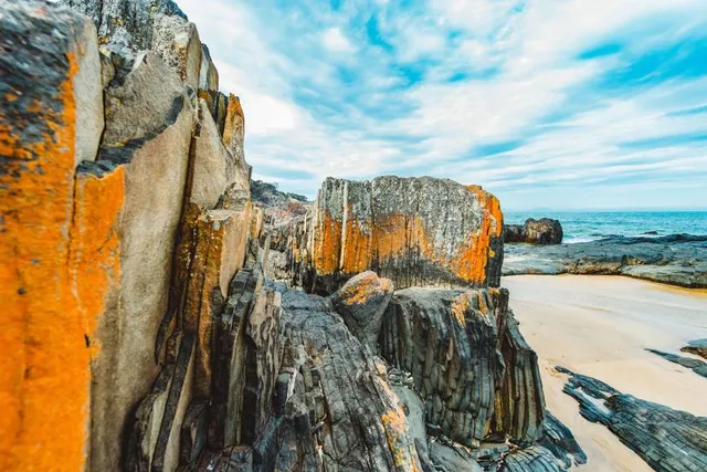 Watering Sea Gdańsk Sobieszewo