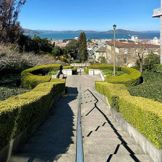 Piccino Presidio  in San Francisco, CA