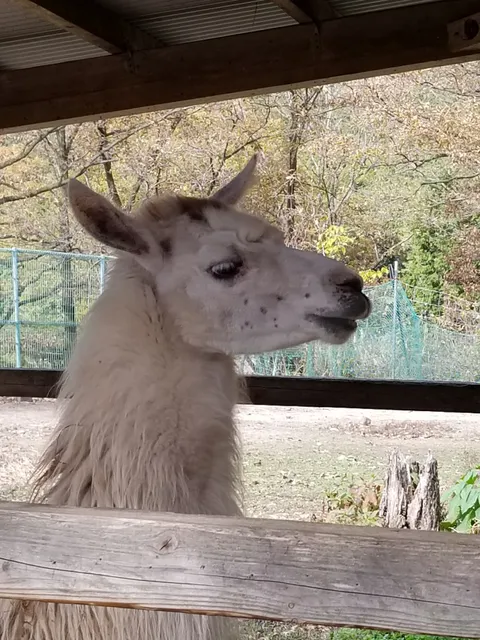 SHIKINOSATO ZOO（四季の里旭志 ふれあい動物広場）