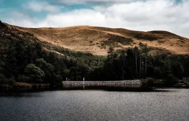 Bwlch Nant yr Arian Forest Visitor Centre