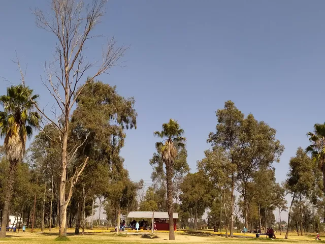 Parque Cuitláhuac