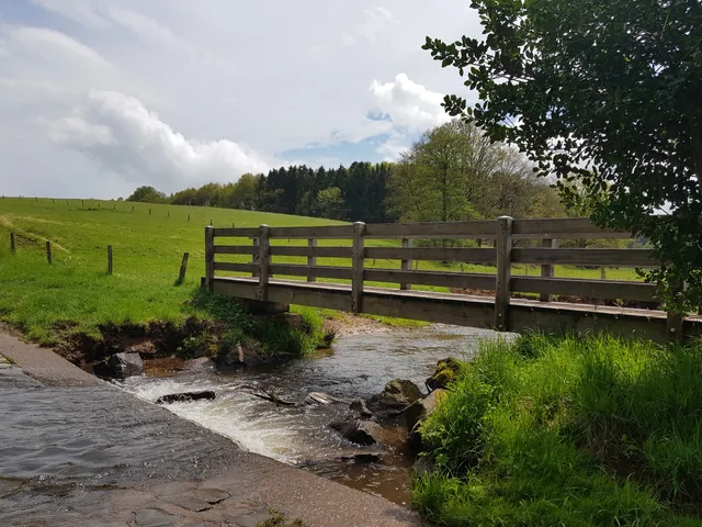 Traumschleife "Georgi-Panoramaweg" (Premiumwanderweg)