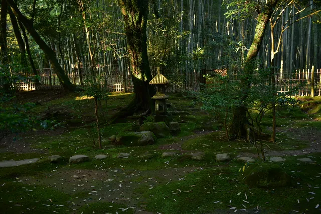 Taisho-ji Temple Ruins