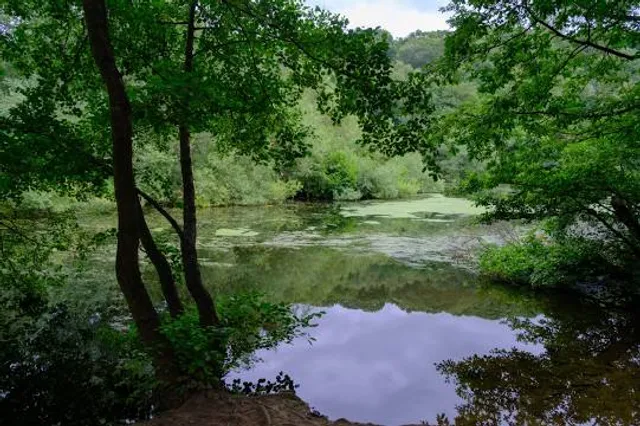 place image