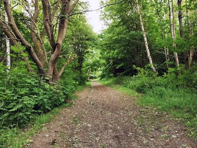 Shire Brook Valley Nature Reserve