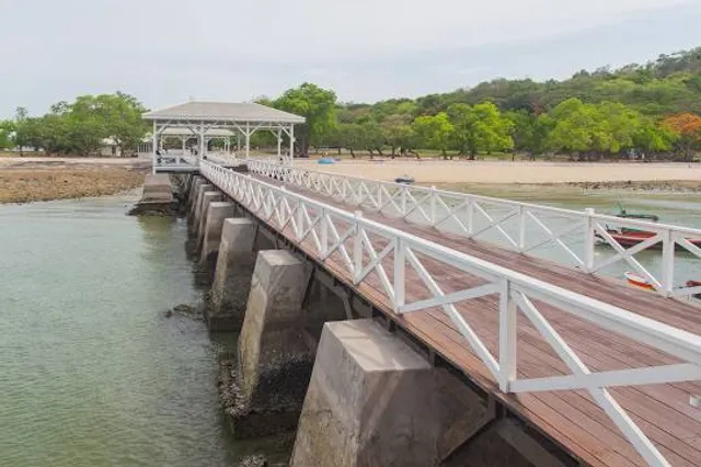 Hutan Mangrove Tongke-tongke