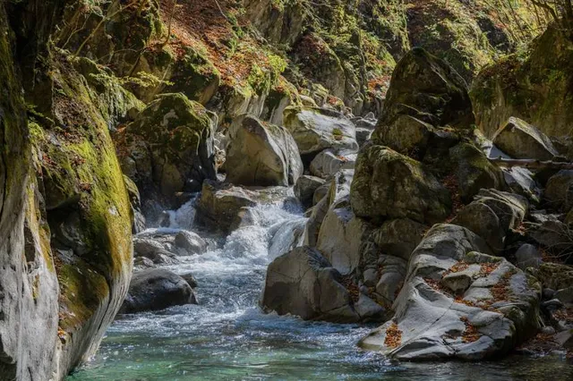 Nishizawa Gorge