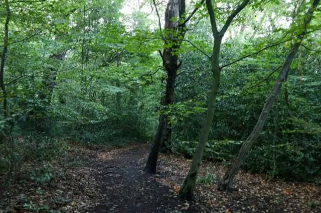 photo-2