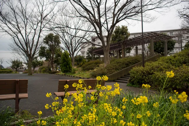 Maruyama Itchome Park