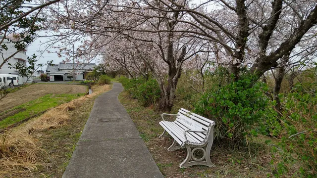 Rapids of Sweetfish Park