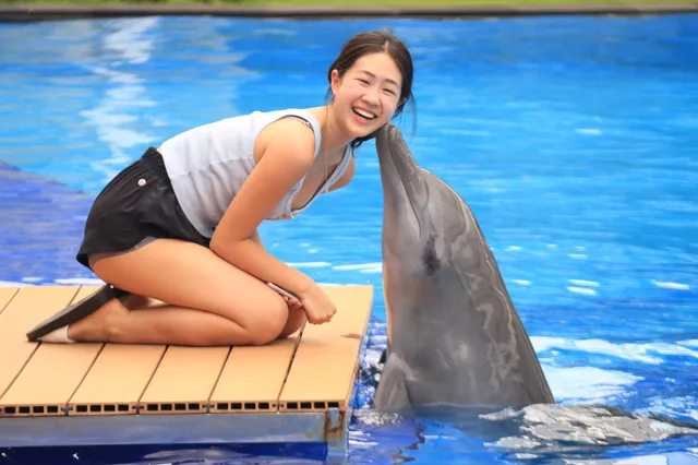 Bali Dolphins - Bali Marine Park