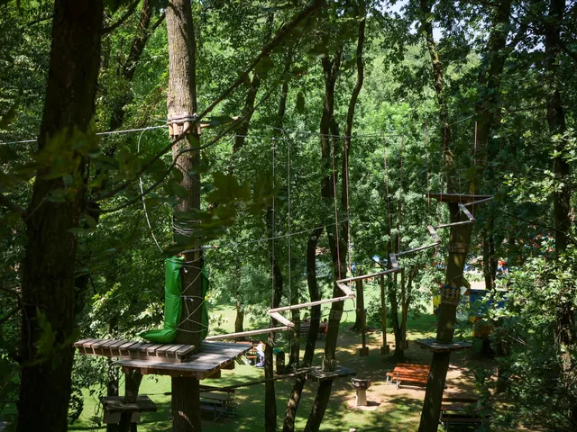La Quiete Adventure Park