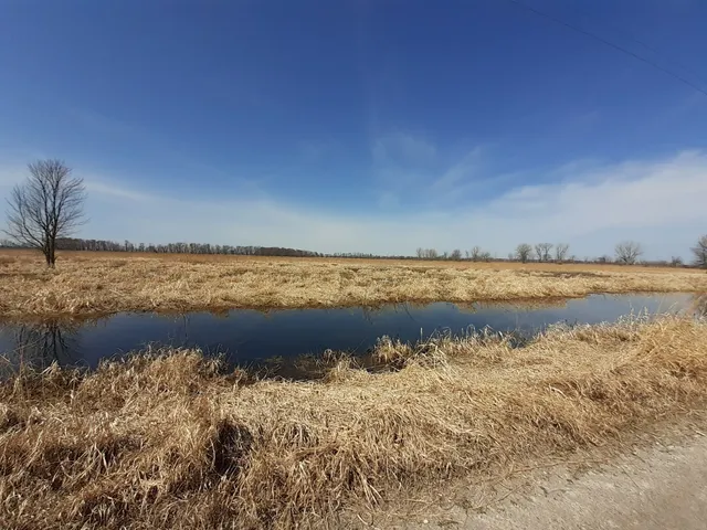 Ferguson Bayou Nature National Recreation Trail