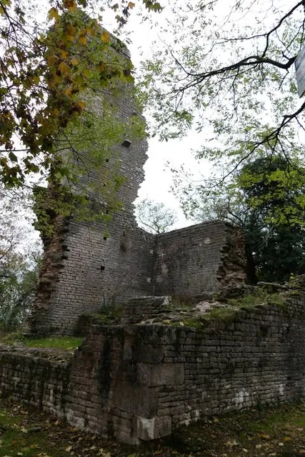 Château de Montaigu