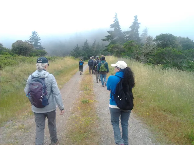 Sierra Club Loma Prieta Chapter offices