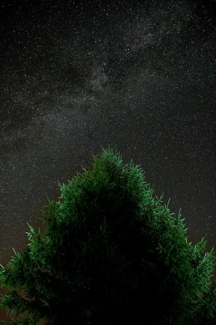 Guktojeongjungang-myeon